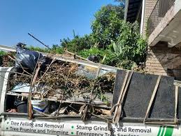 Best Dumpster Rental Services  in Alamo, TX